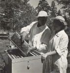 60 лет (1965) назад образован Приморский трест пчеловодческих совхозов