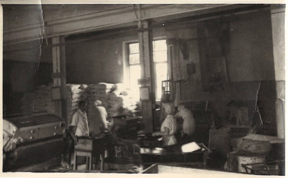 8. ГАПК. Фотофонд 0-1569 (Негатив). Владивостокская кондитерская фабрика (внутренний вид цехов) 1966 г. (а).jpg