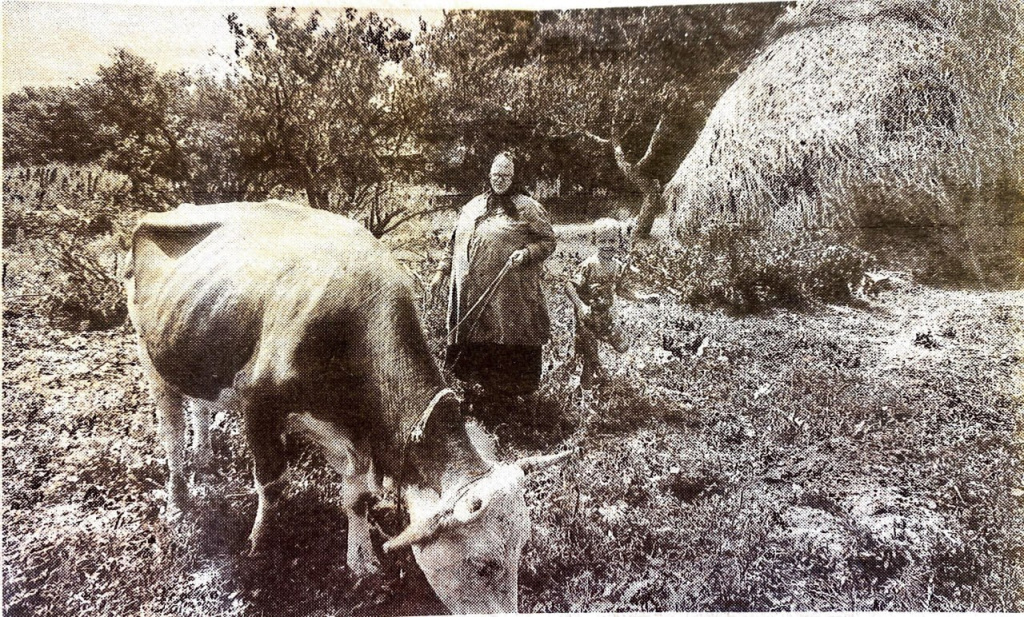 ГАПК. Владивосток, 1994 год, 21 сентября. №195, Л. 3