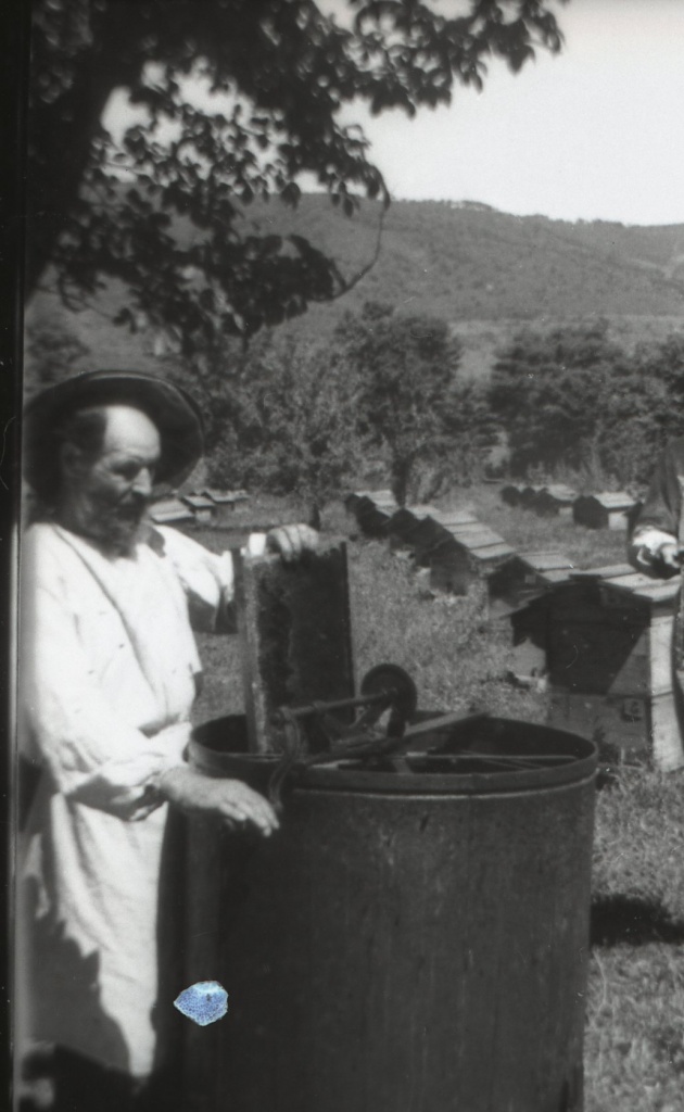 ГАПК. Фотофонд негатив 05871. Сбор меда в одном из совхозов края. Приморский край. 1965 г. 